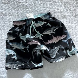 K. kijan HM swimming shorts